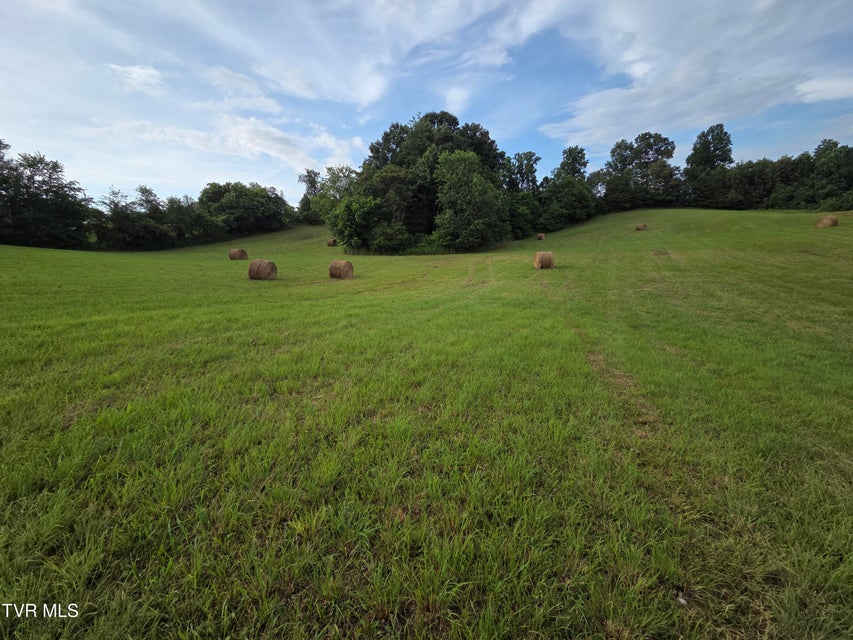 Photo #23: 12.14 Ac. Mockingbird Place