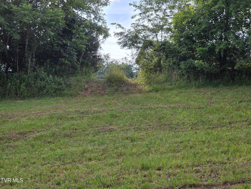 Photo #25: 12.14 Ac. Mockingbird Place