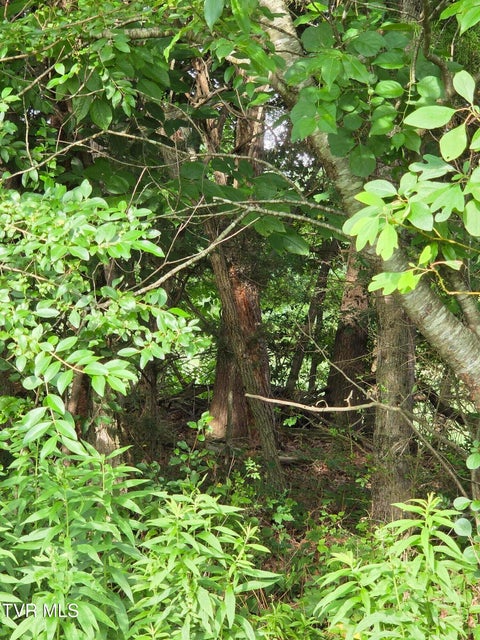 Photo #24: 12.14 Ac. Mockingbird Place