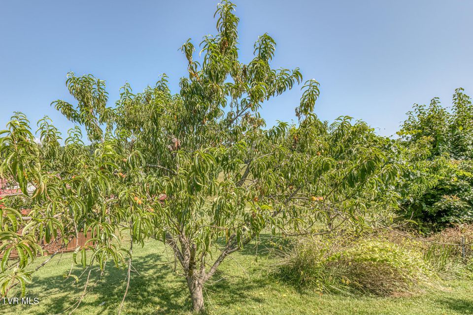 Photo #49: 126 Charlem Hills Road