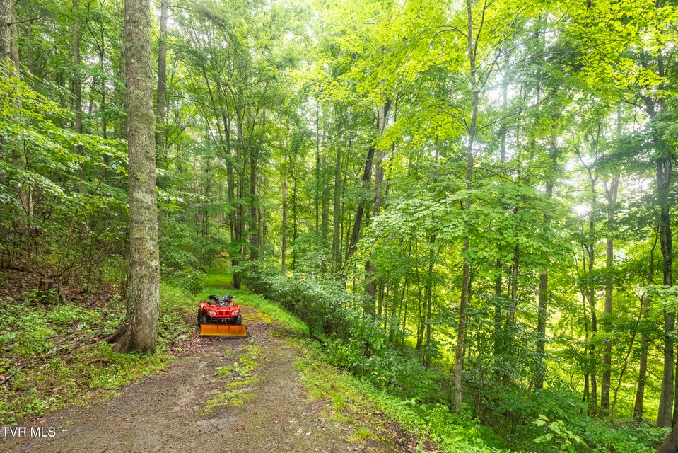 Photo #7: 495 Moonshadow Trail 