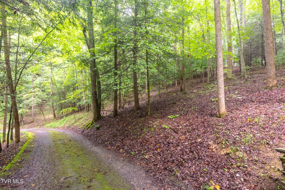 Photo #14: 495 Moonshadow Trail 