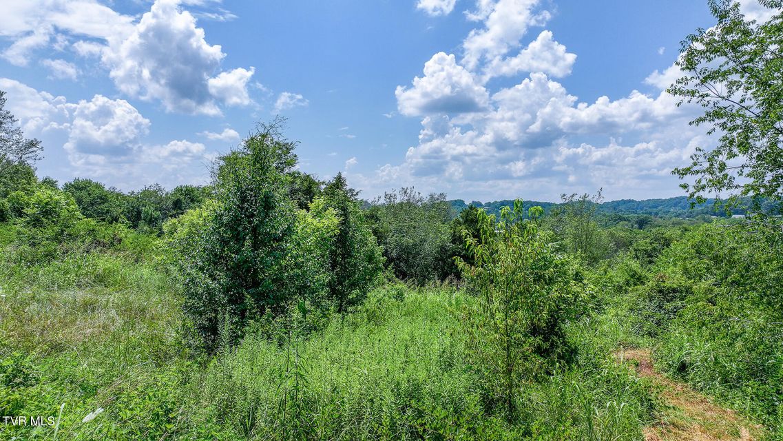 Photo #3: 320 Wayland Drive