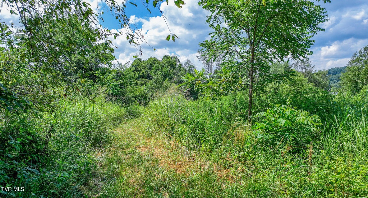 Photo #10: 320 Wayland Drive