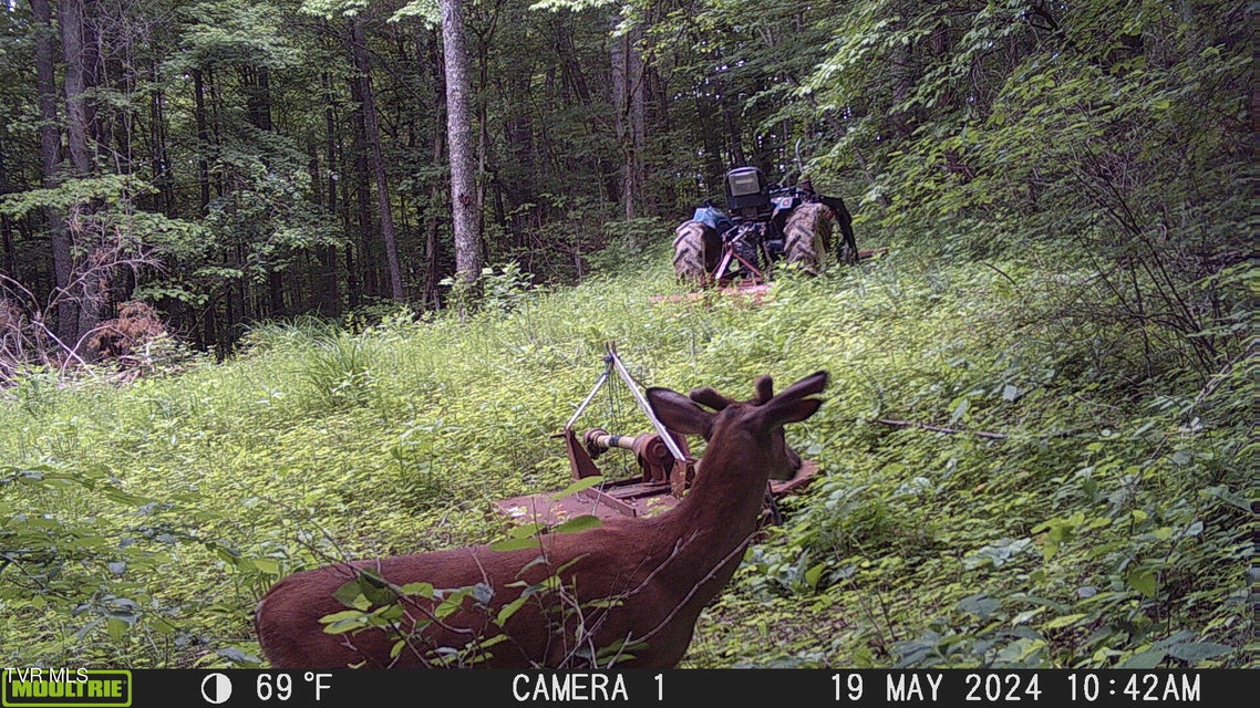 Photo #30: Tbd Clinch Mountain Road