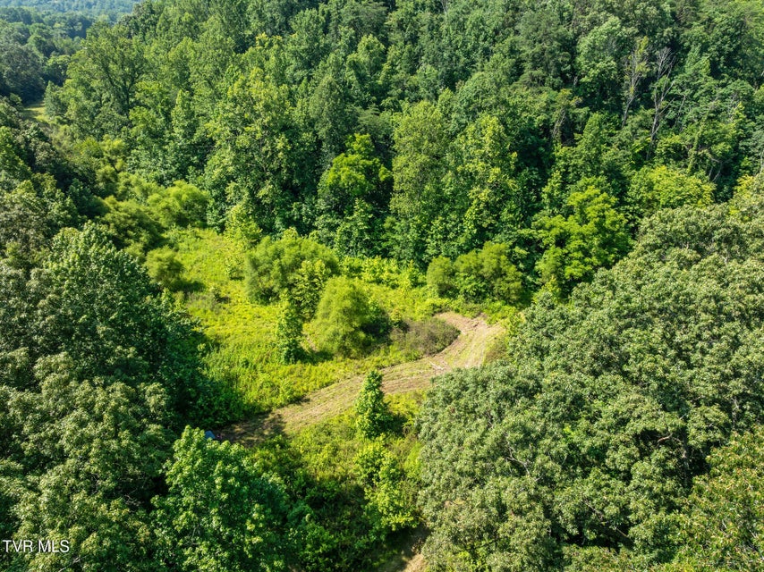 Photo #6: Tbd Hermitage Lane
