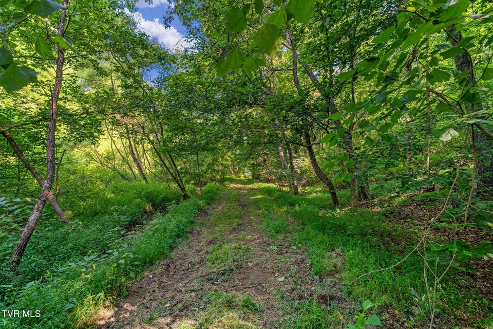 Photo #9: Tbd Hermitage Lane