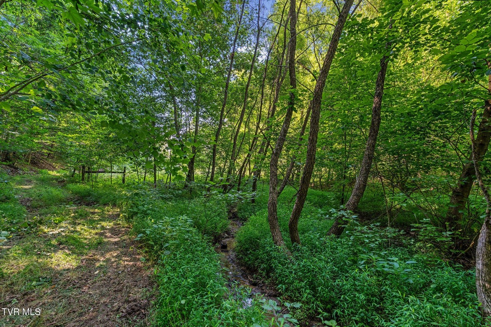 Photo #10: Tbd Hermitage Lane