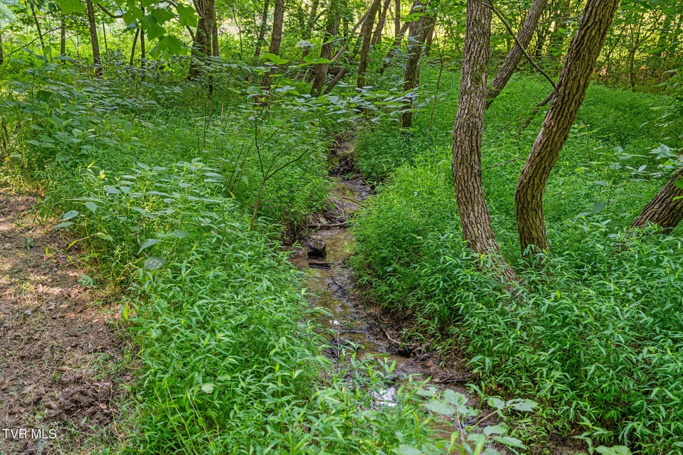 Photo #11: Tbd Hermitage Lane
