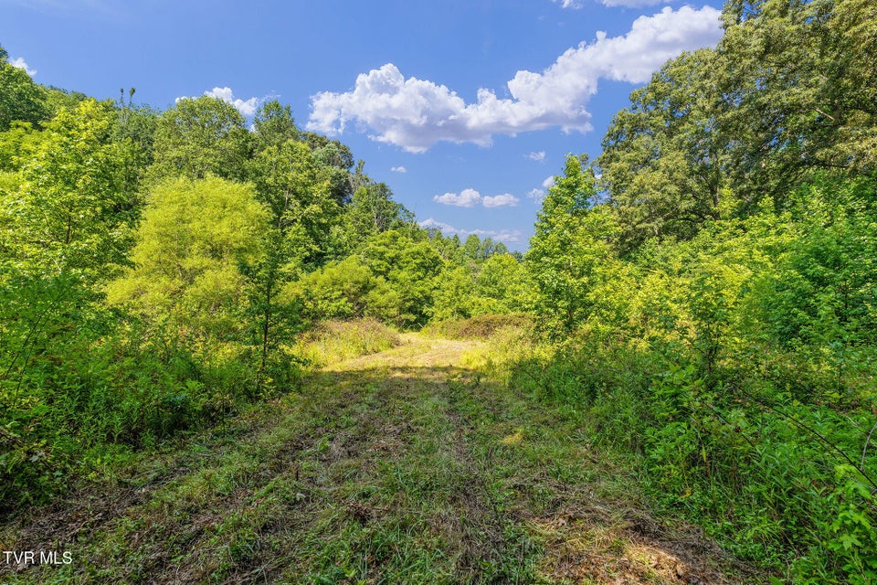 Photo #12: Tbd Hermitage Lane
