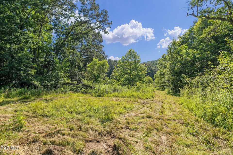 Photo #13: Tbd Hermitage Lane
