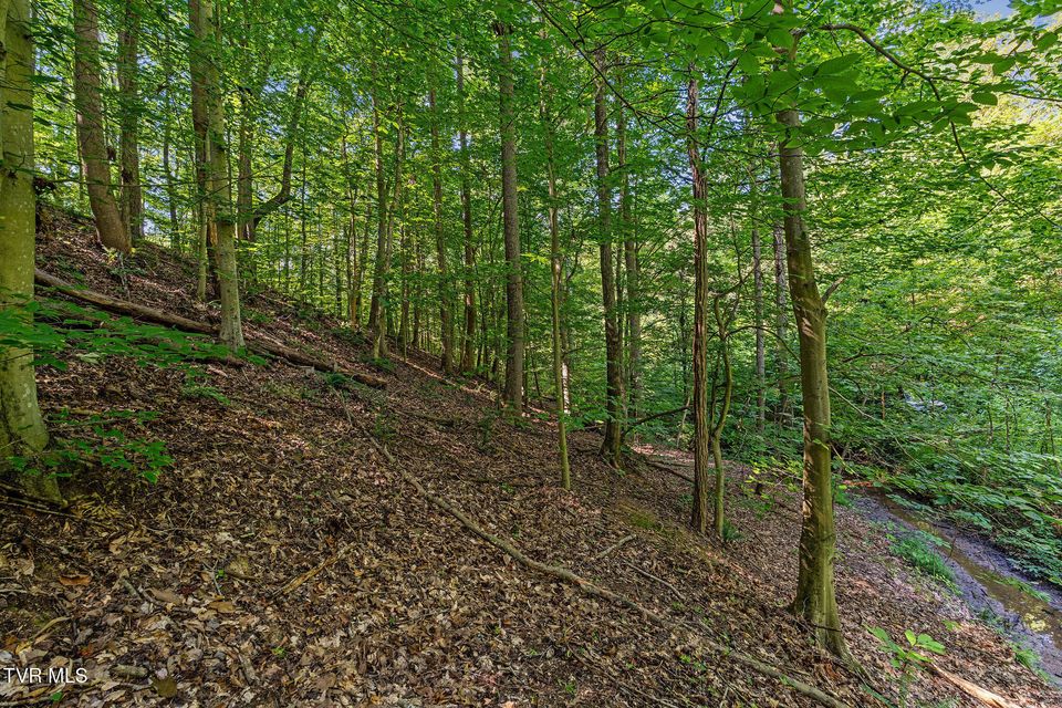Photo #14: Tbd Hermitage Lane