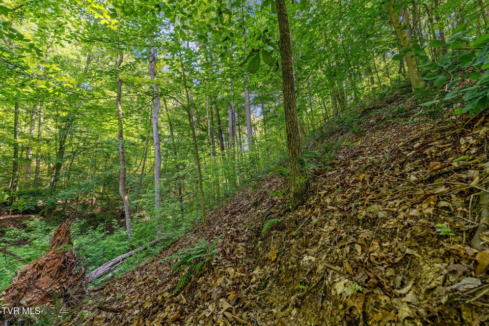Photo #16: Tbd Hermitage Lane