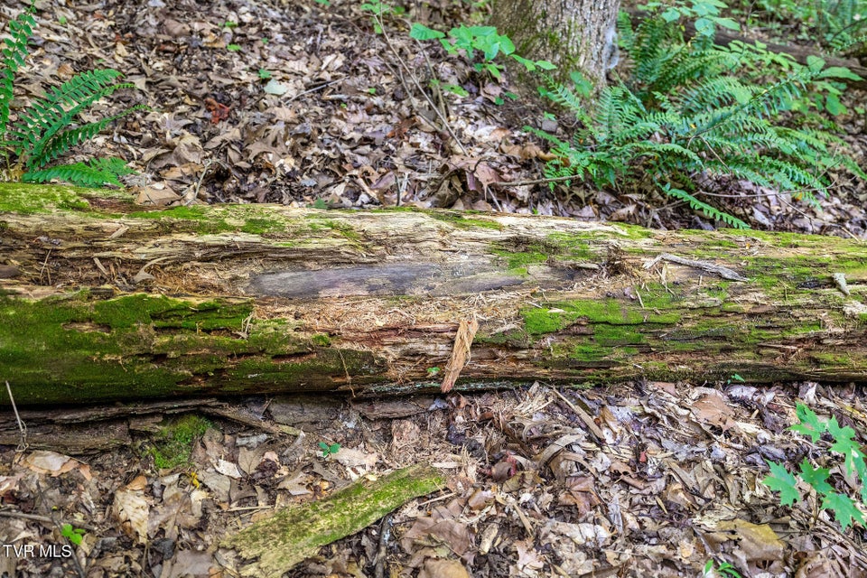 Photo #23: Tbd Hermitage Lane