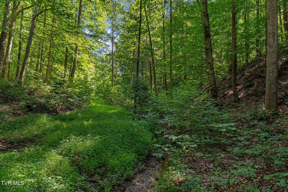 Photo #27: Tbd Hermitage Lane