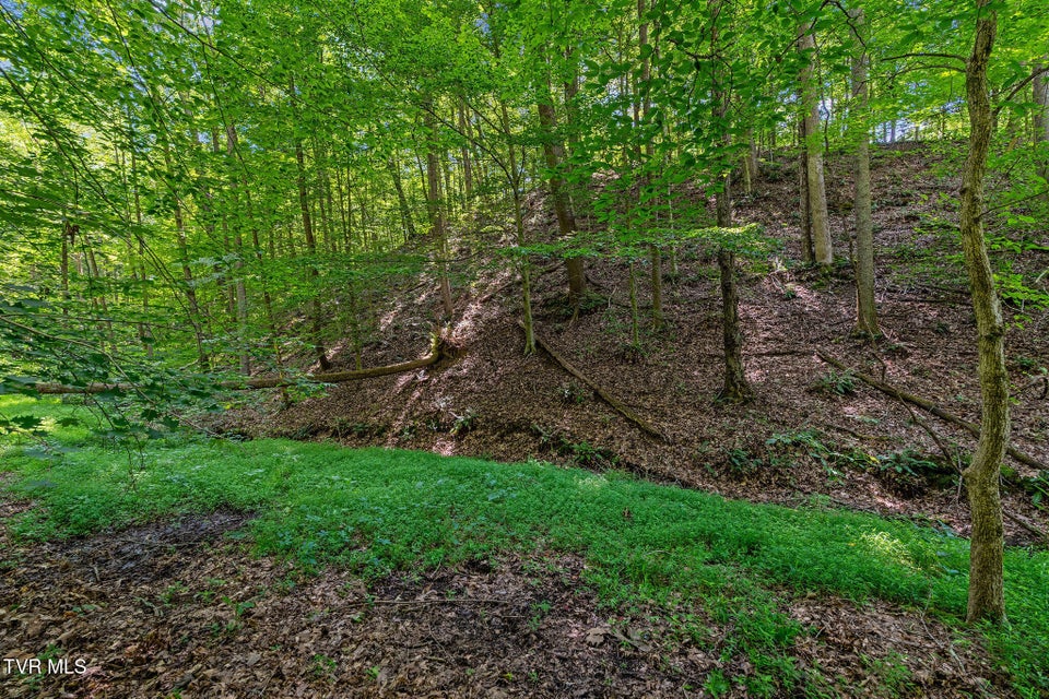 Photo #28: Tbd Hermitage Lane