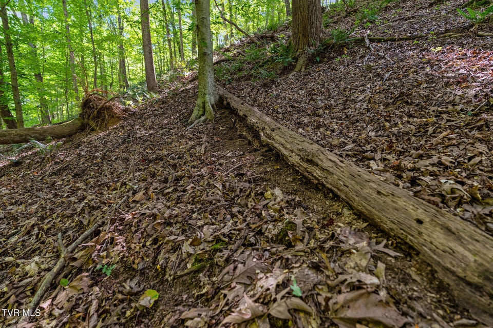 Photo #30: Tbd Hermitage Lane