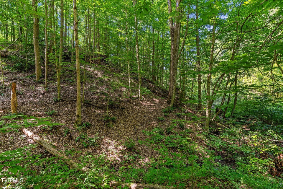 Photo #17: Tbd Hermitage Lane