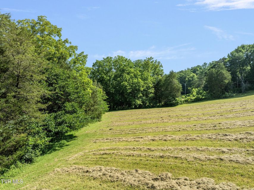 Photo #8: Tbd Bill Gourley Road