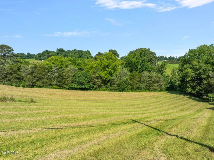 Photo #4: Tbd Bill Gourley Road