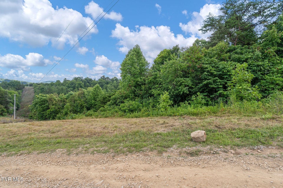 Photo #6: Tbd Twin Ponds Lane