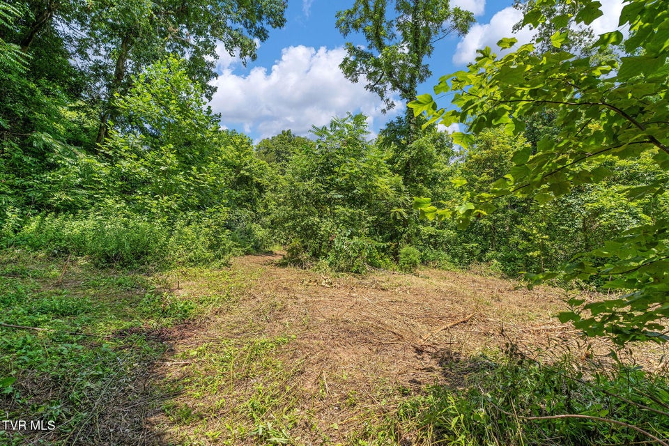 Photo #9: Tbd Twin Ponds Lane