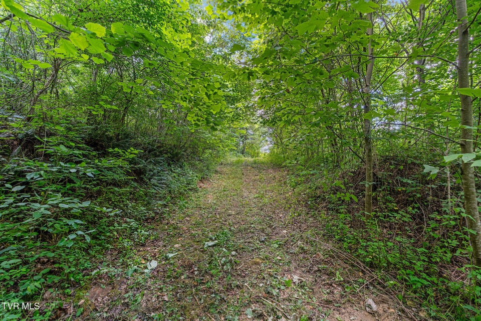 Photo #13: Tbd Twin Ponds Lane