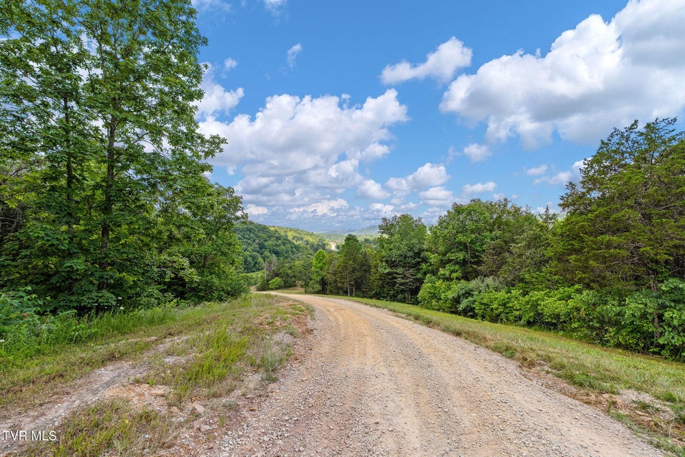 Photo #19: Tbd Twin Ponds Lane