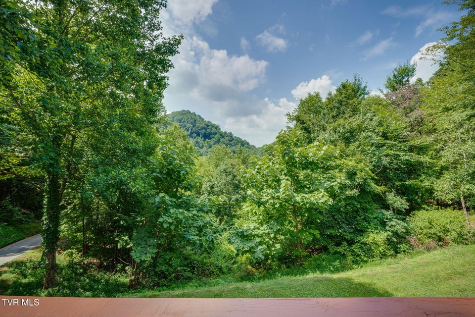 Photo #11: 165 Hawks Nest Lane
