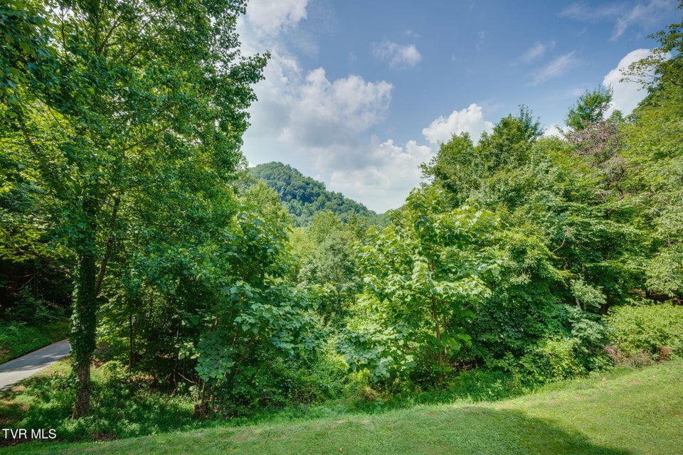 Photo #12: 165 Hawks Nest Lane