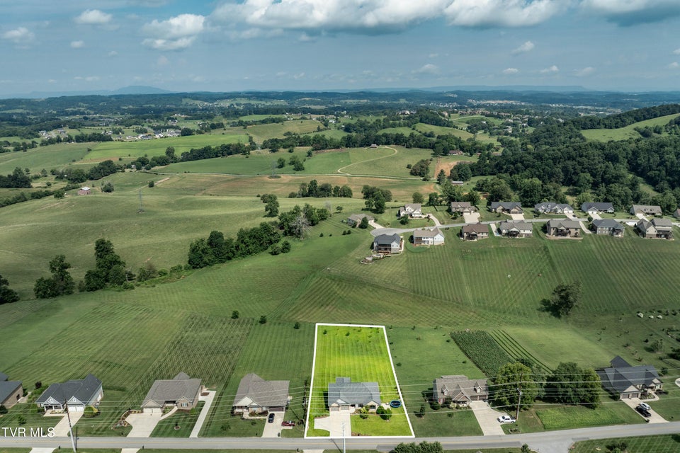Photo #66: 763 Hales Chapel Road