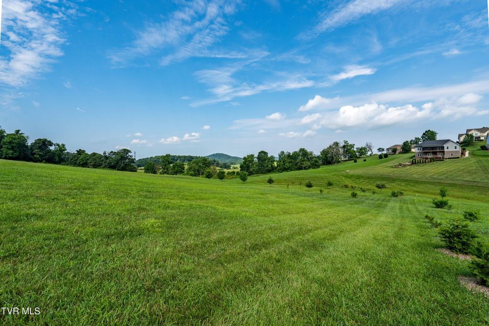 Photo #88: 763 Hales Chapel Road
