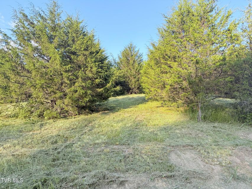 Photo #4: 790 Lonesome Pine Road