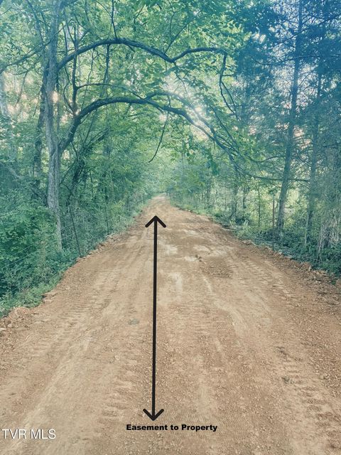 Photo #22: 790 Lonesome Pine Road