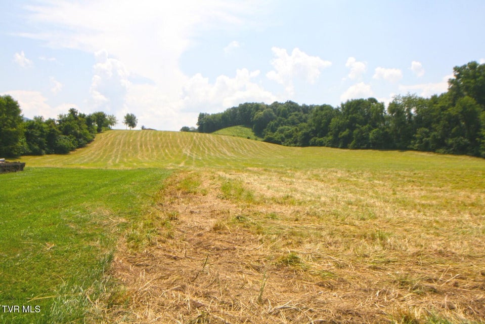 Photo #9: 637 Long Hollow Road