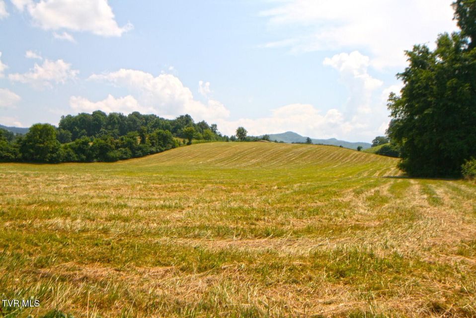 Photo #3: 637 Long Hollow Road