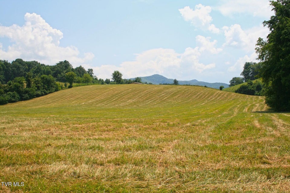 Photo #7: 637 Long Hollow Road