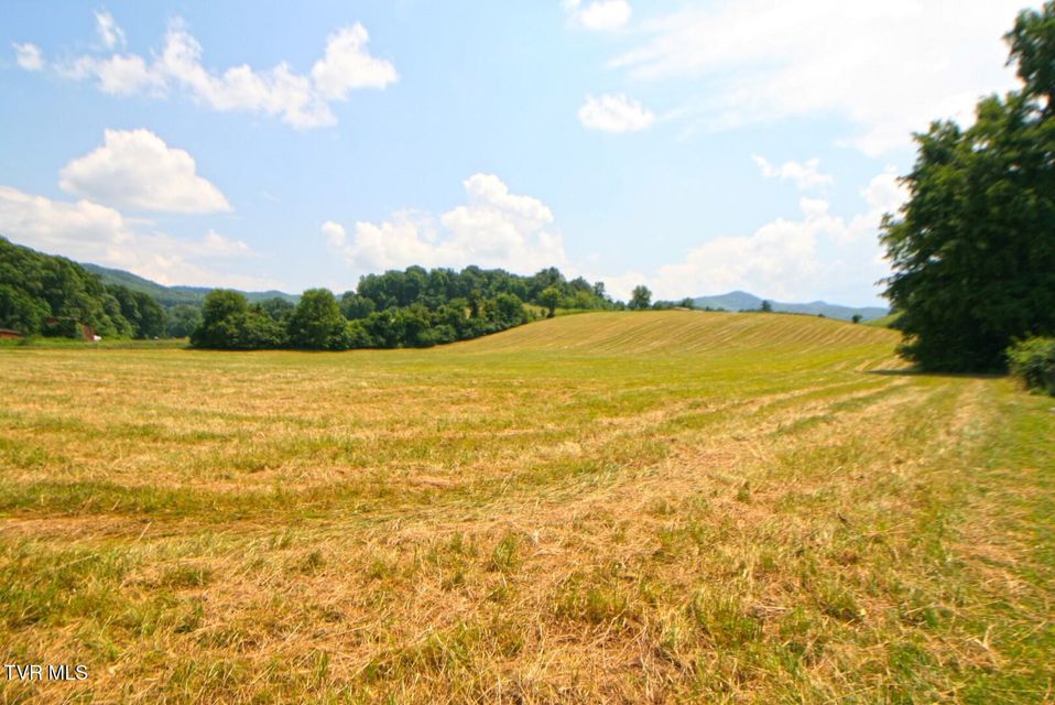 Photo #8: 637 Long Hollow Road