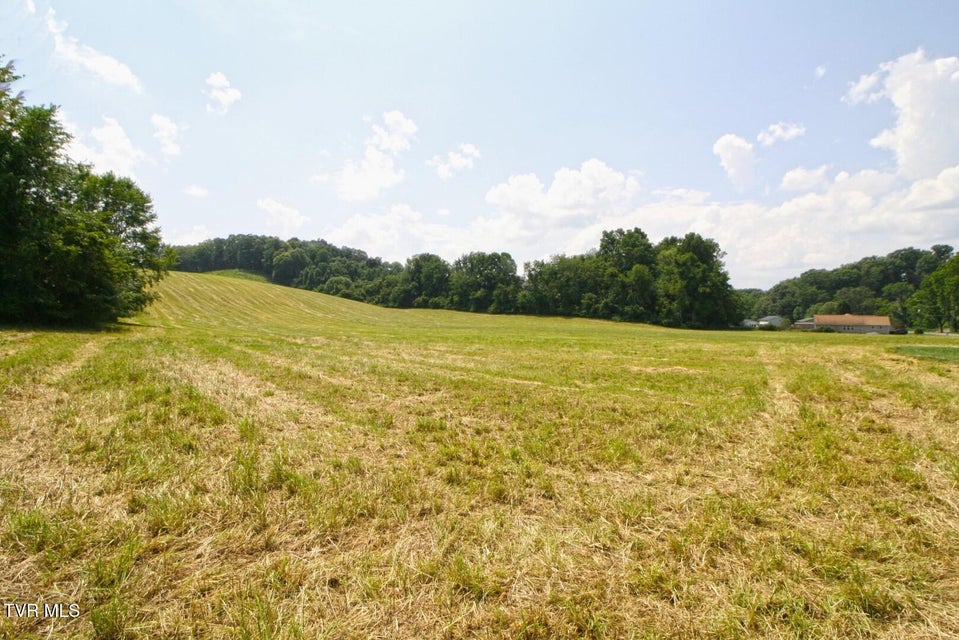 Photo #10: 637 Long Hollow Road