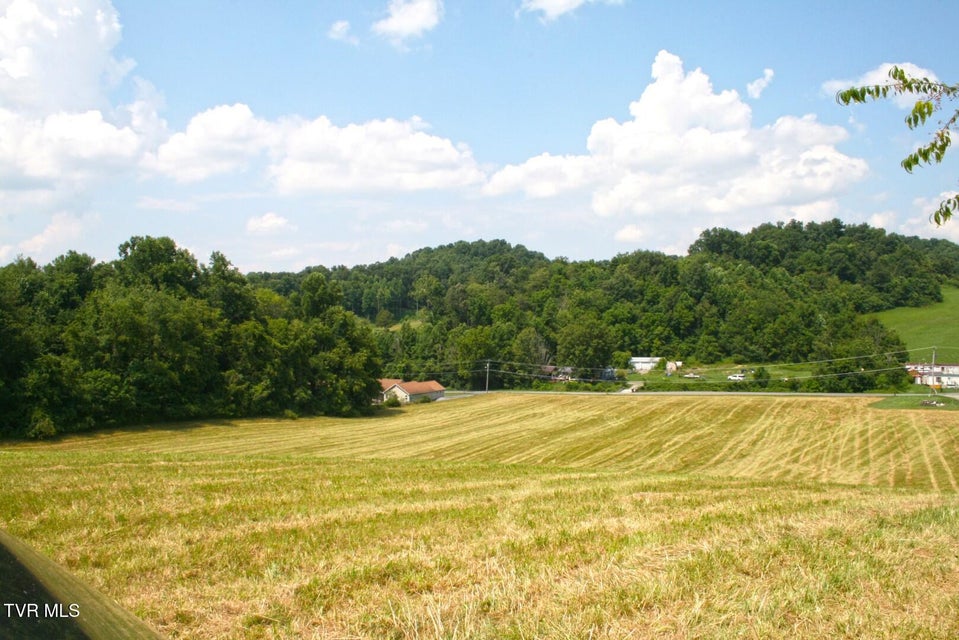 Photo #11: 637 Long Hollow Road