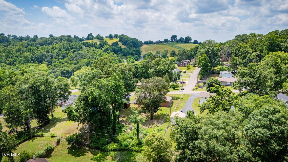 Photo #35: 1856 Midview Street