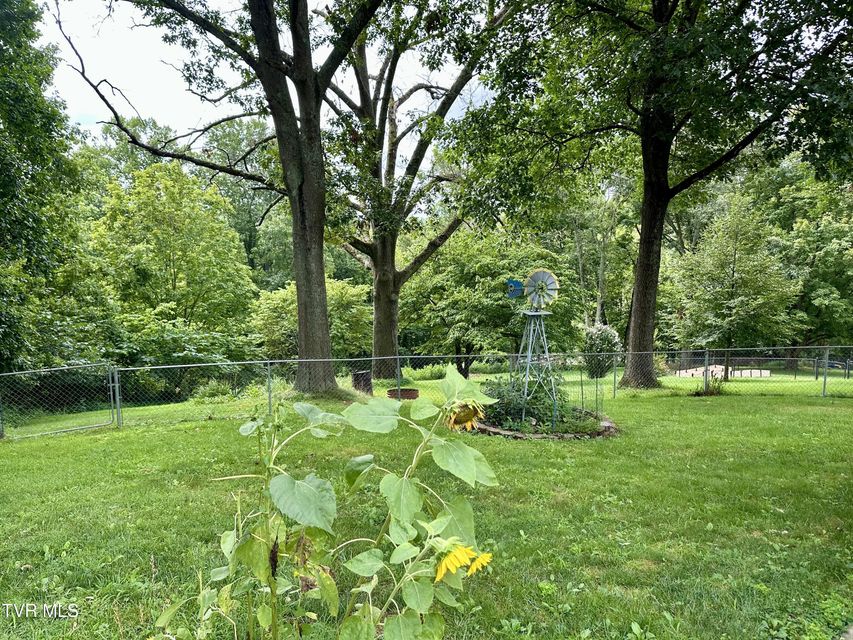 Photo #25: 233 Lakeview Circle