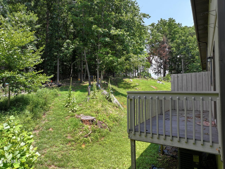 Photo #28: 225 Huckleberry Road