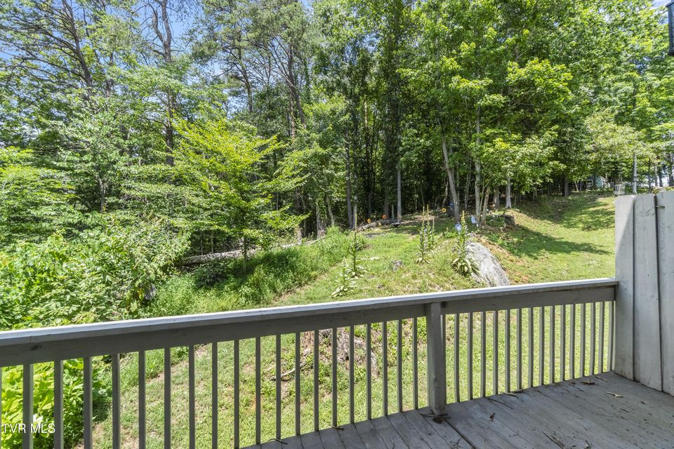 Photo #30: 225 Huckleberry Road