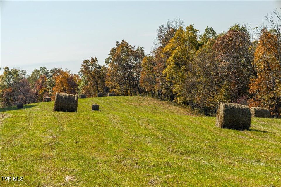 Photo #37: Tbd Harmony Road