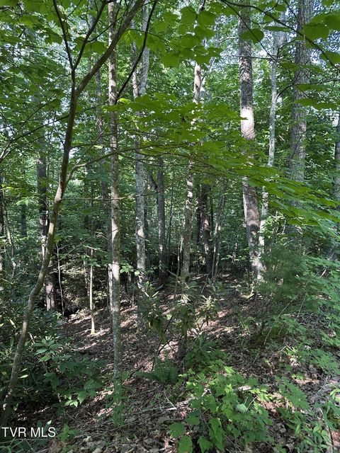 Photo #2: 1501 Sprucy Ridge Private Road