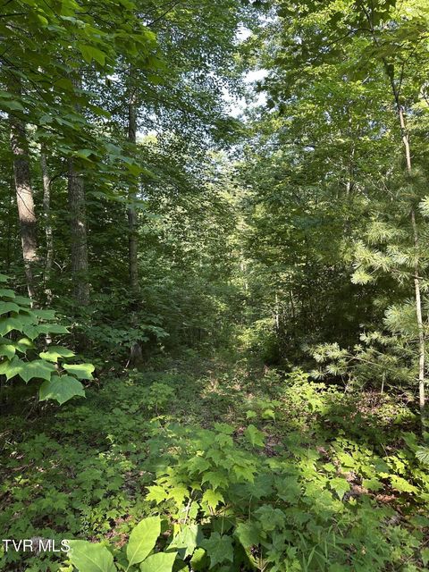 Photo #7: 1501 Sprucy Ridge Private Road