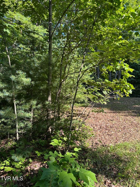 Photo #6: 1501 Sprucy Ridge Private Road