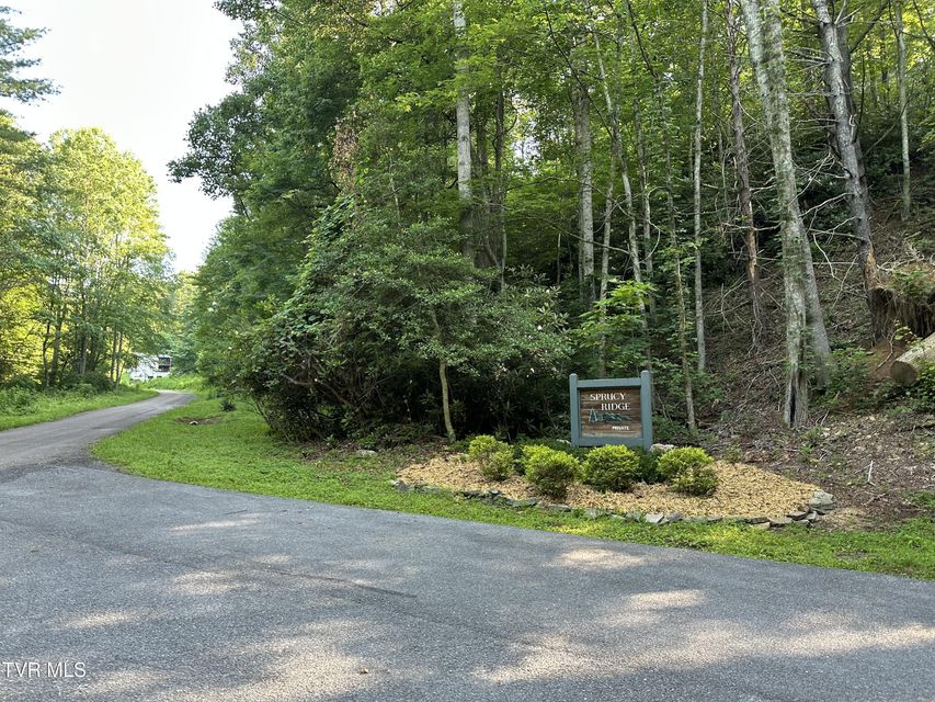 Photo #12: 1501 Sprucy Ridge Private Road