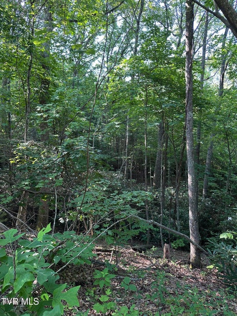 Photo #9: 1501 Sprucy Ridge Private Road